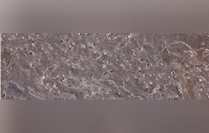 Metal Red Quartzite