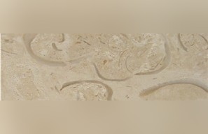 Mexican Shell Stone
