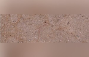 Mika Brown Marble