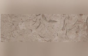 Milly Sicilia Marble