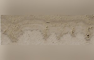 Minerva White Travertine
