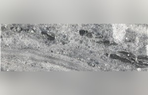 Mirabilis Grey Marble