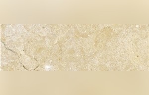 Moav Limestone