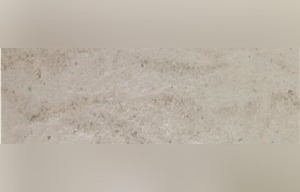 Moca Seco Limestone