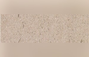 Mocha Beige Limestone