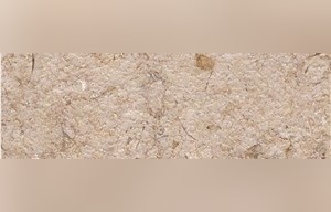 Mokattam Limestone