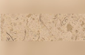 Monaco Beige Limestone