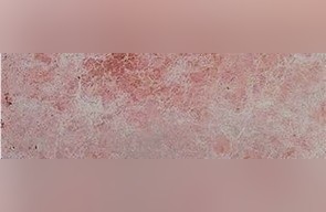 Monarch Plum Marble