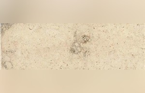 Monsanto Limestone