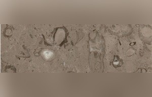Monte Bello Marble
