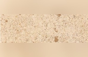 Montmoyen Limestone