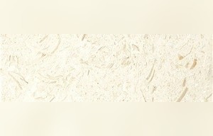 Moonlight Beige Marble