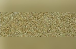 Mountain Gold Sandstone