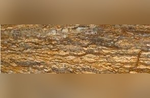 Multi Color Travertine