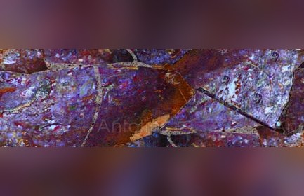 Multicolor Red Granite