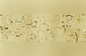 Mussel Stone Travertine