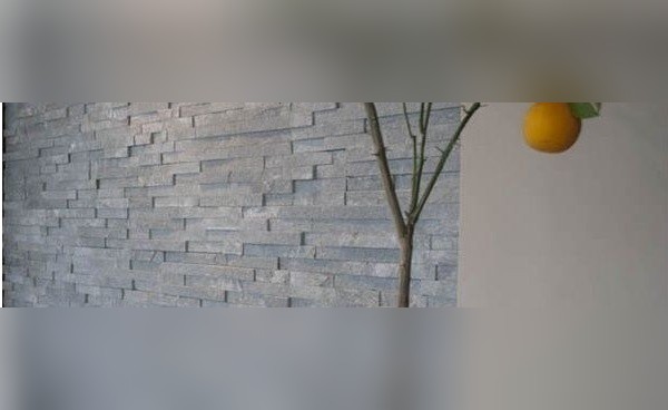Mystic Grey Quartzite