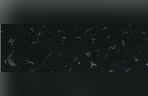 Negro Caracol Marble