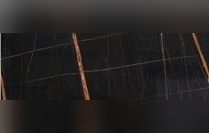 Nero Dorato Marble