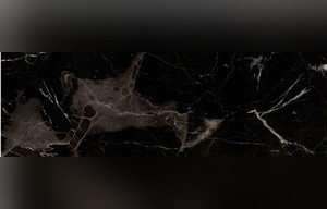 Nero Marfilia Marble