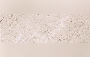 New Butterfly Beige Marble