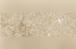 New Sunny Marble
