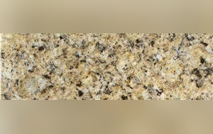 New Venetian Gold Granite