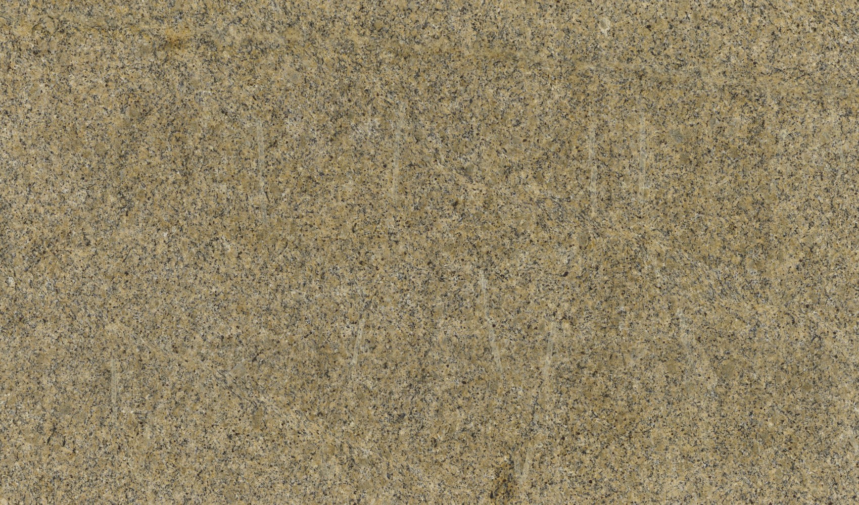 New Venetian Gold