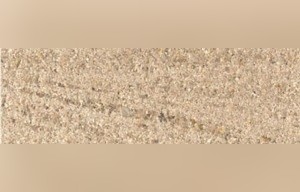 Niederalfingen Sandstone