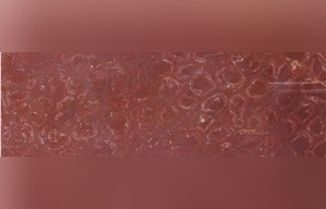 O Red Marble