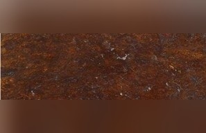 Oak Bamboo Quartzite