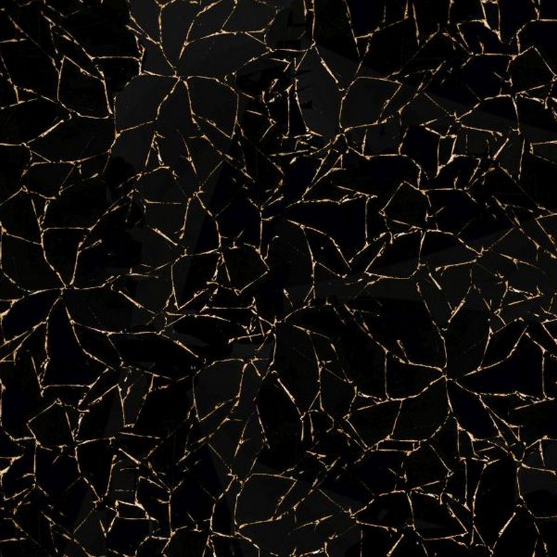 Obsidian With Gold Inlay