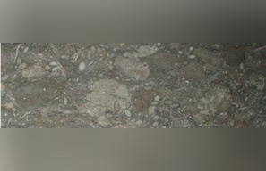 Ocean Fossil Marble