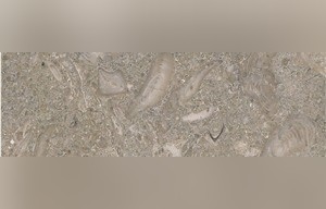 Ocean Green Limestone
