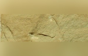 Oklahoma Sandstone