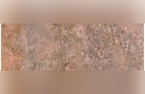 Olivillo Travertine