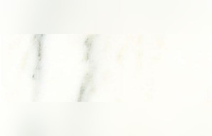 Olympian White Danby Marble