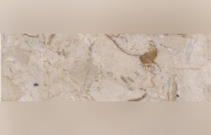 Oman Perlatino Marble