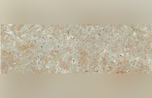 Omberg Grafflammig Limestone