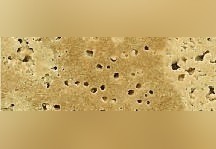 Onyx Travertine