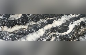 Orbicular Black Marble