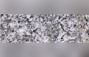 Oyster White S Granite