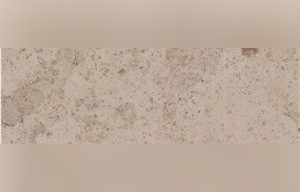 Pachuca Limestone