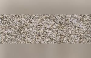 Padang Giallo Granite