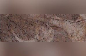 Pakistan Fossil Marble