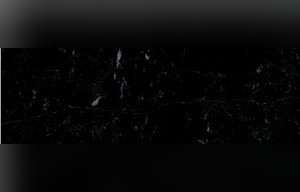 Palm Black Marble