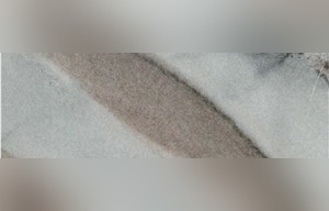 Paloda Brown Marble