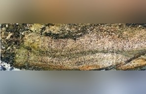 Pantanal Blue Granite