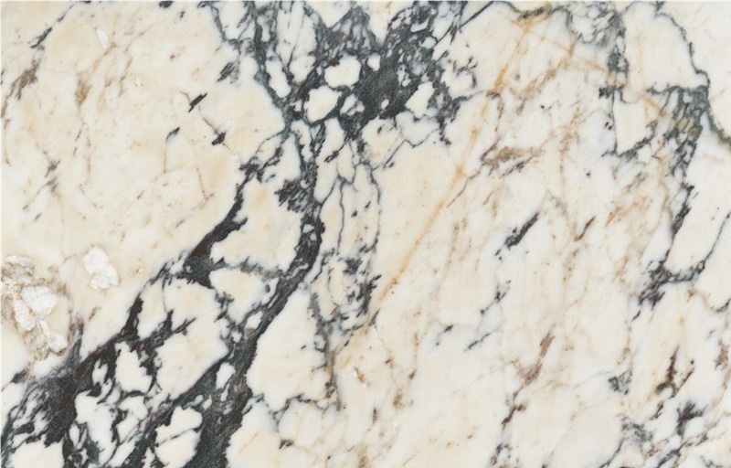 Paonazzo Marble
