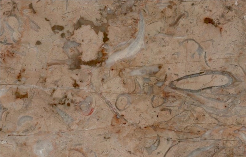 Par Tavoosi Ramshe Marble